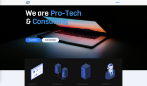 Pro-Tech & Consulting